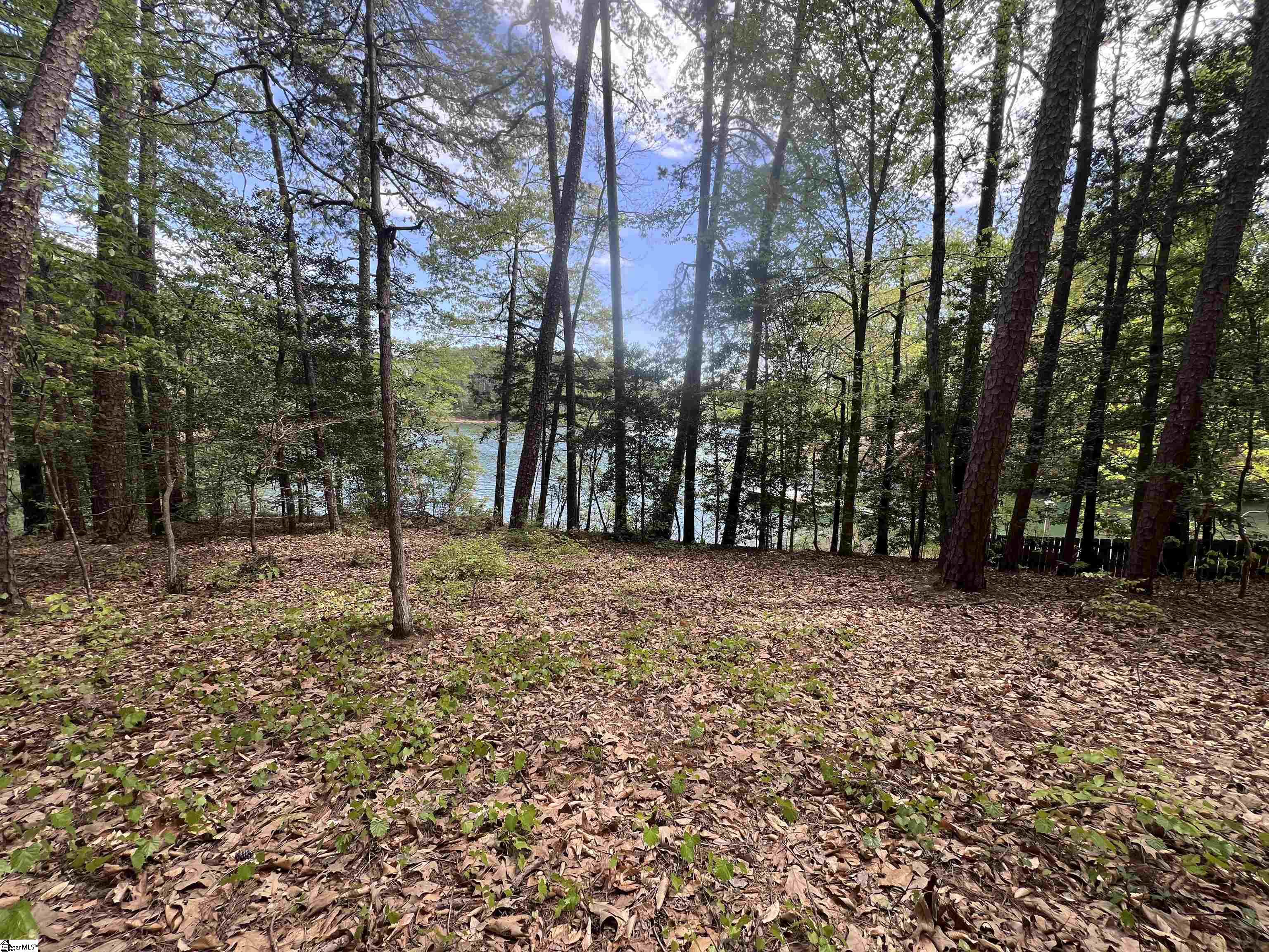 0 Harbor Ridge Road, Unit LOT 149 Seneca, SC 29672 - Photo 5 of 5