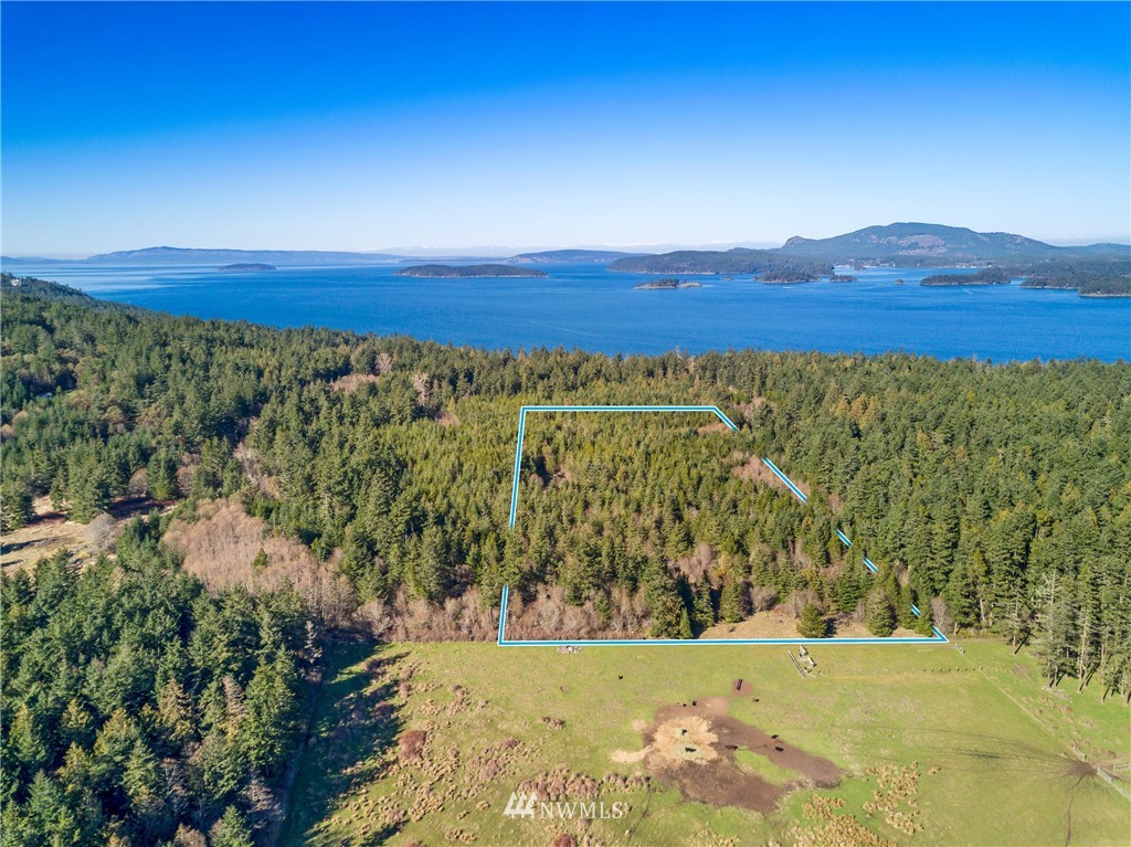 A Ridgedale Road San Juan Island, WA 98250 - Photo 1 of 12 Gallery Image 1