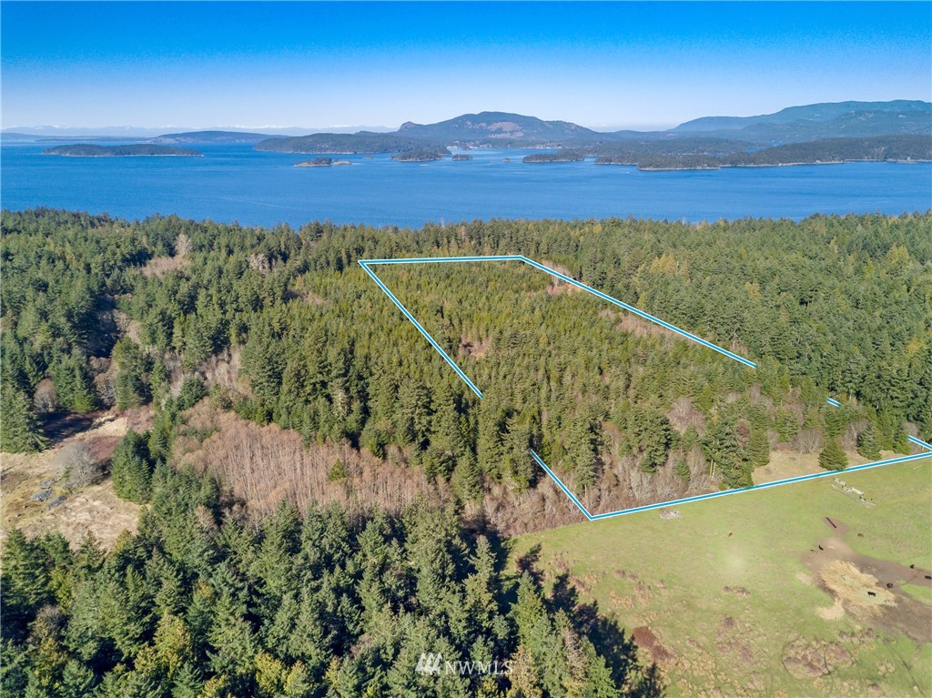 A Ridgedale Road San Juan Island, WA 98250 - Photo 2 of 12 Gallery Image 2