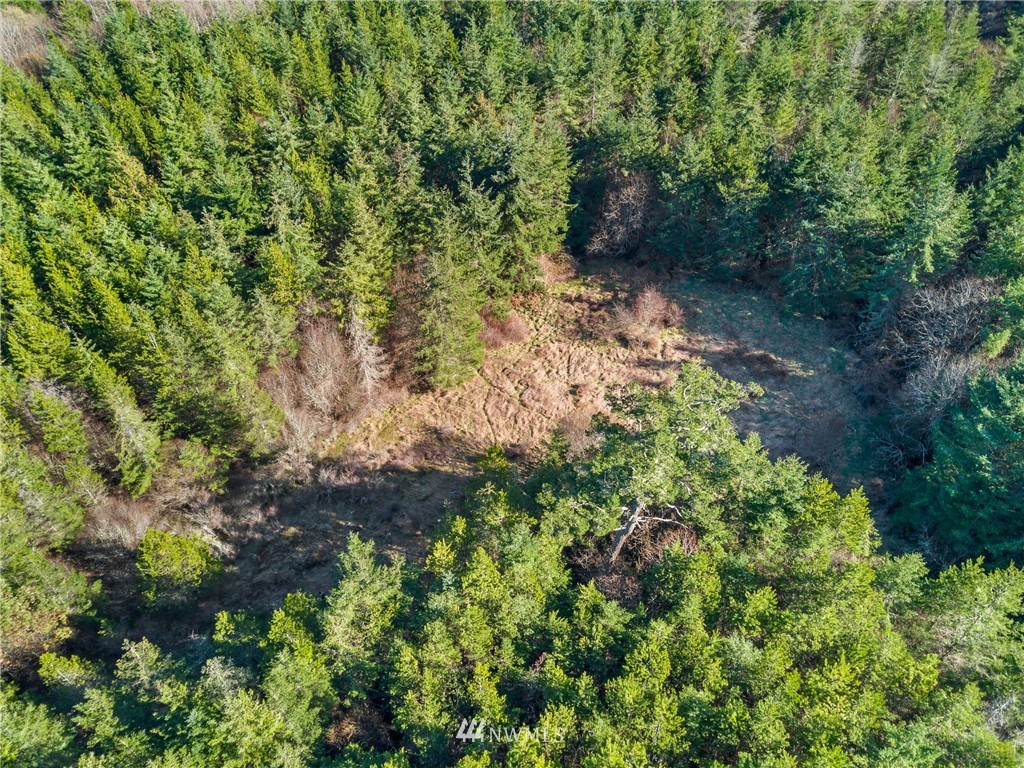 A Ridgedale Road San Juan Island, WA 98250 - Photo 12 of 12 Gallery Image 12