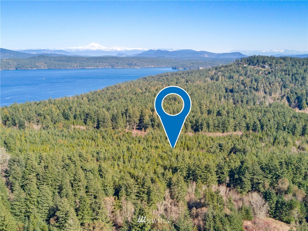 A Ridgedale Road San Juan Island, WA 98250 - Photo 3 of 12 Gallery Image 3