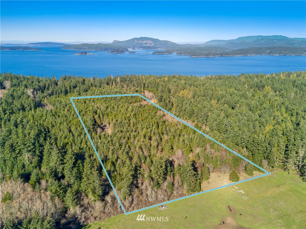 A Ridgedale Road San Juan Island, WA 98250 - Photo 4 of 12 Gallery Image 4