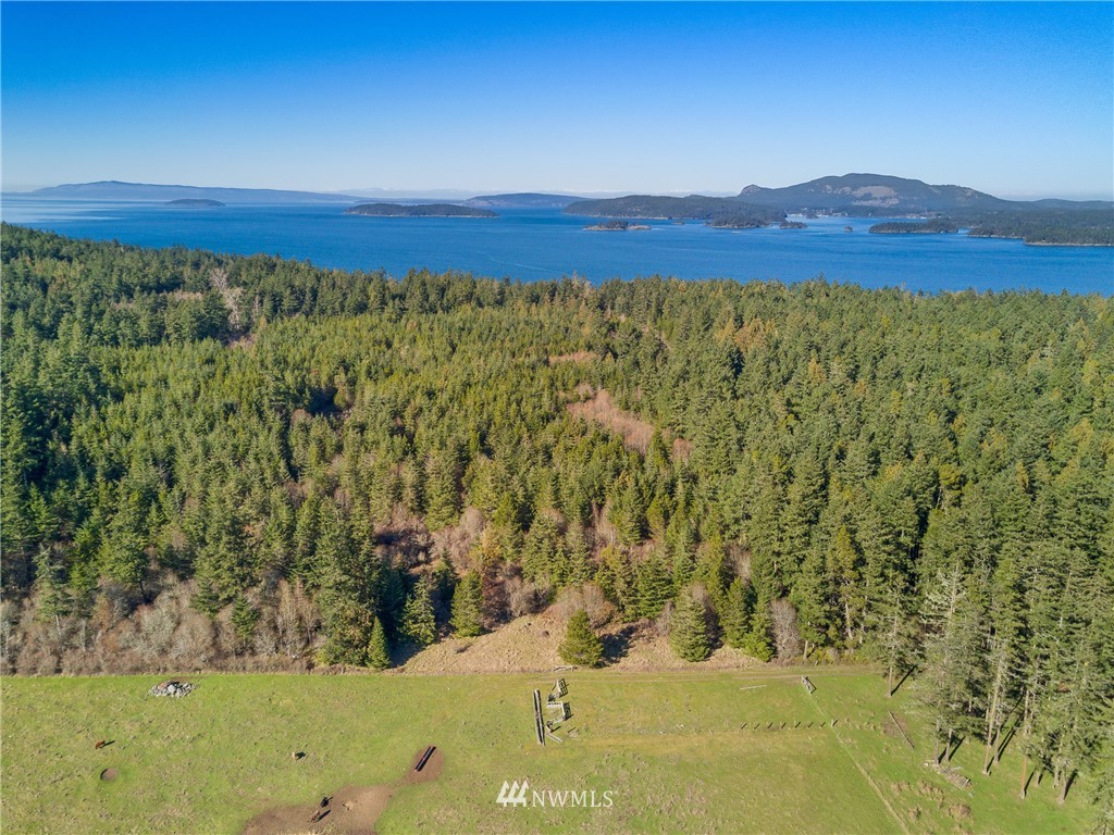 A Ridgedale Road San Juan Island, WA 98250 - Photo 6 of 12 Gallery Image 6