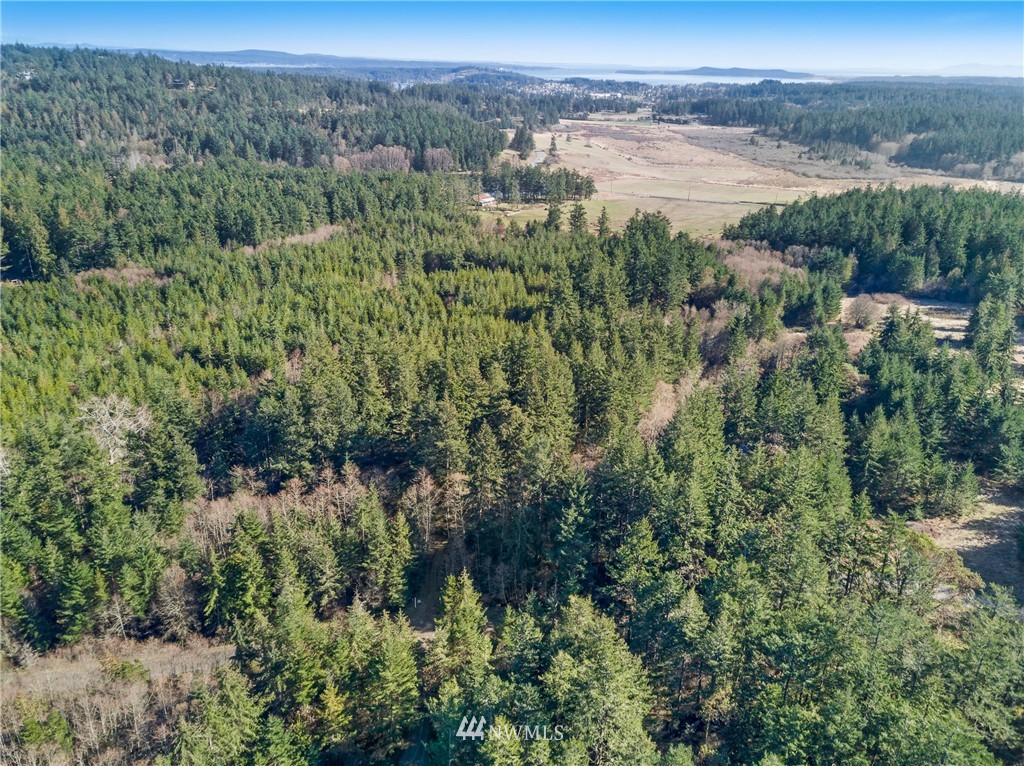 A Ridgedale Road San Juan Island, WA 98250 - Photo 8 of 12 Gallery Image 8