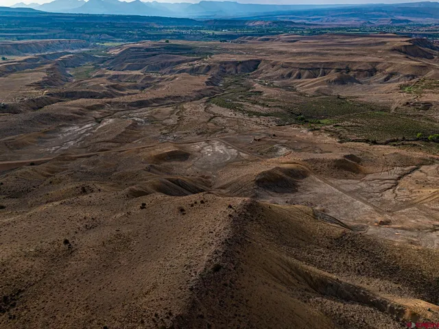 a view of a row of trees with beach