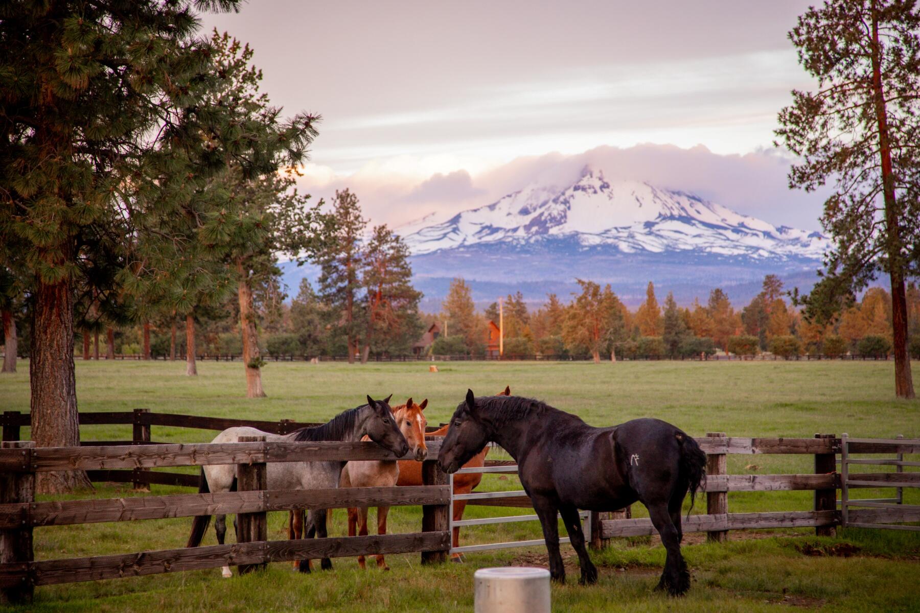 16400 Jordan Road Sisters, OR 97759 - Photo 65 of 101 Property, Pastures and Views