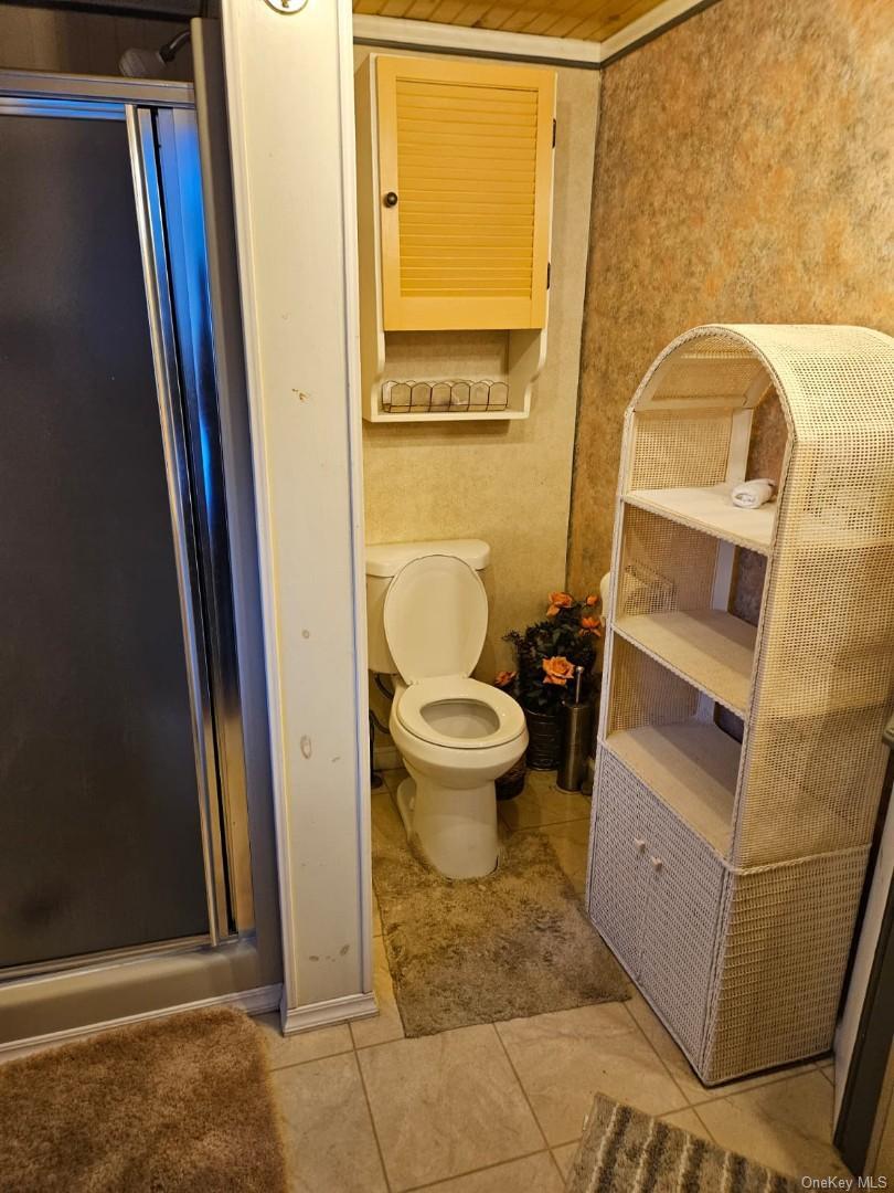 226 Park Road Johnsburg, NY 12843 - Photo 9 of 10 a bathroom with a toilet and a shower