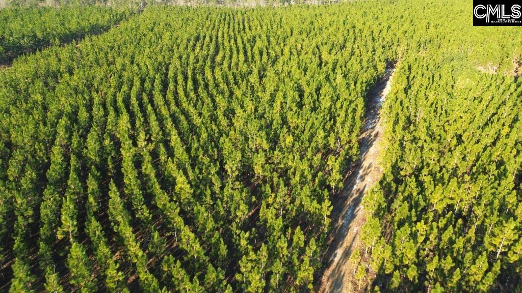 Holstein Road Wagener, SC 29164 - Photo 21 of 26