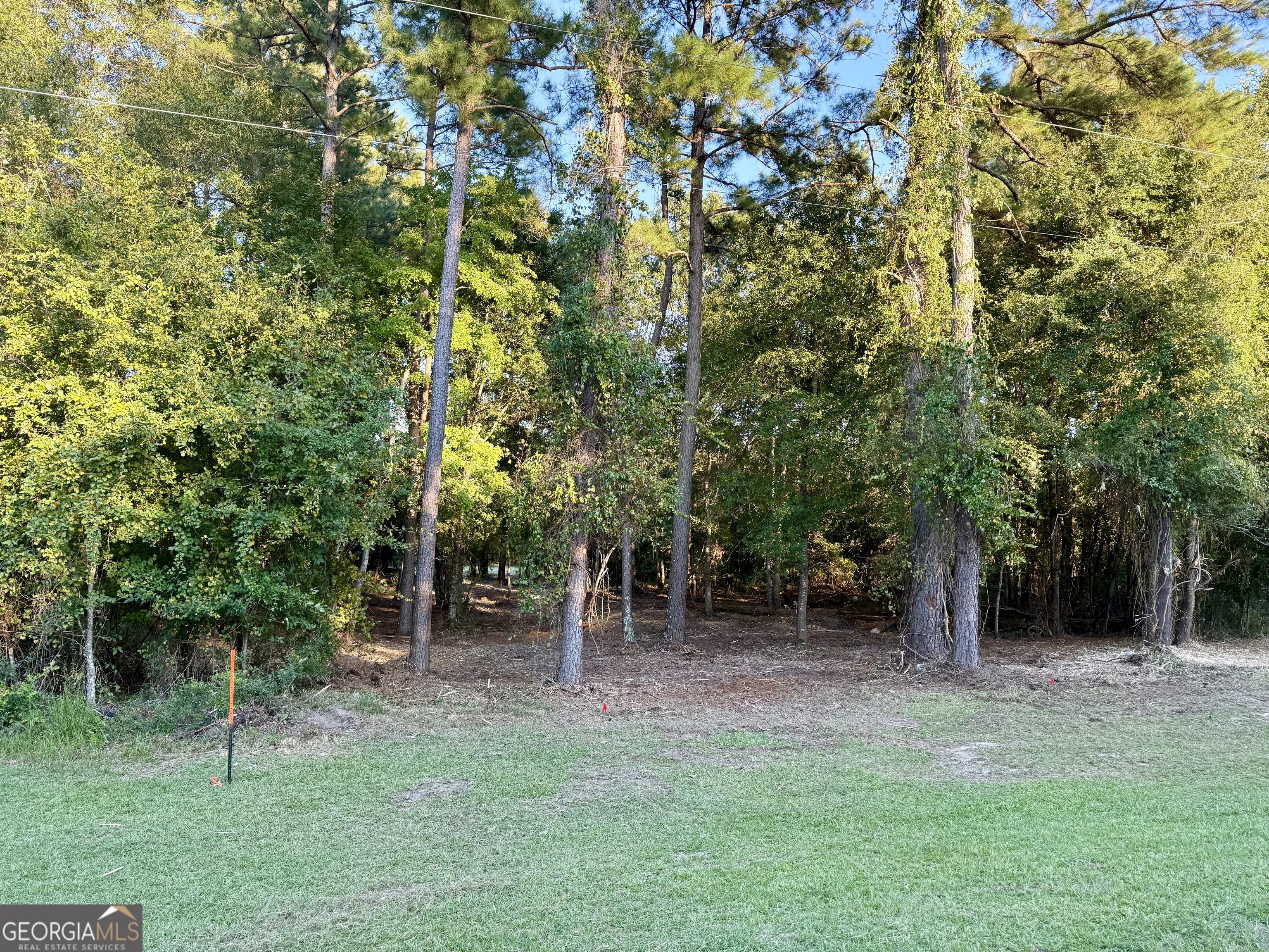 0 Friendship Road Sylvania, GA 30467 - Photo 3 of 7 a backyard of a house with lots of plants and tree