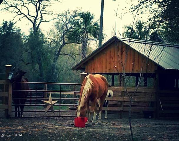 2638 Blocker Church Road Chipley, FL 32428 - Photo 6 of 23 Gallery Image 6