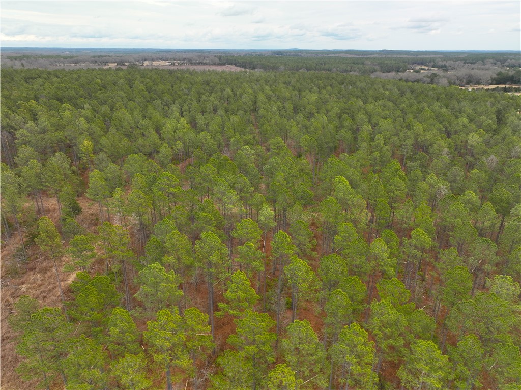 5 Seneca St Extension Calhoun Falls, SC 29628 - Photo 3 of 7