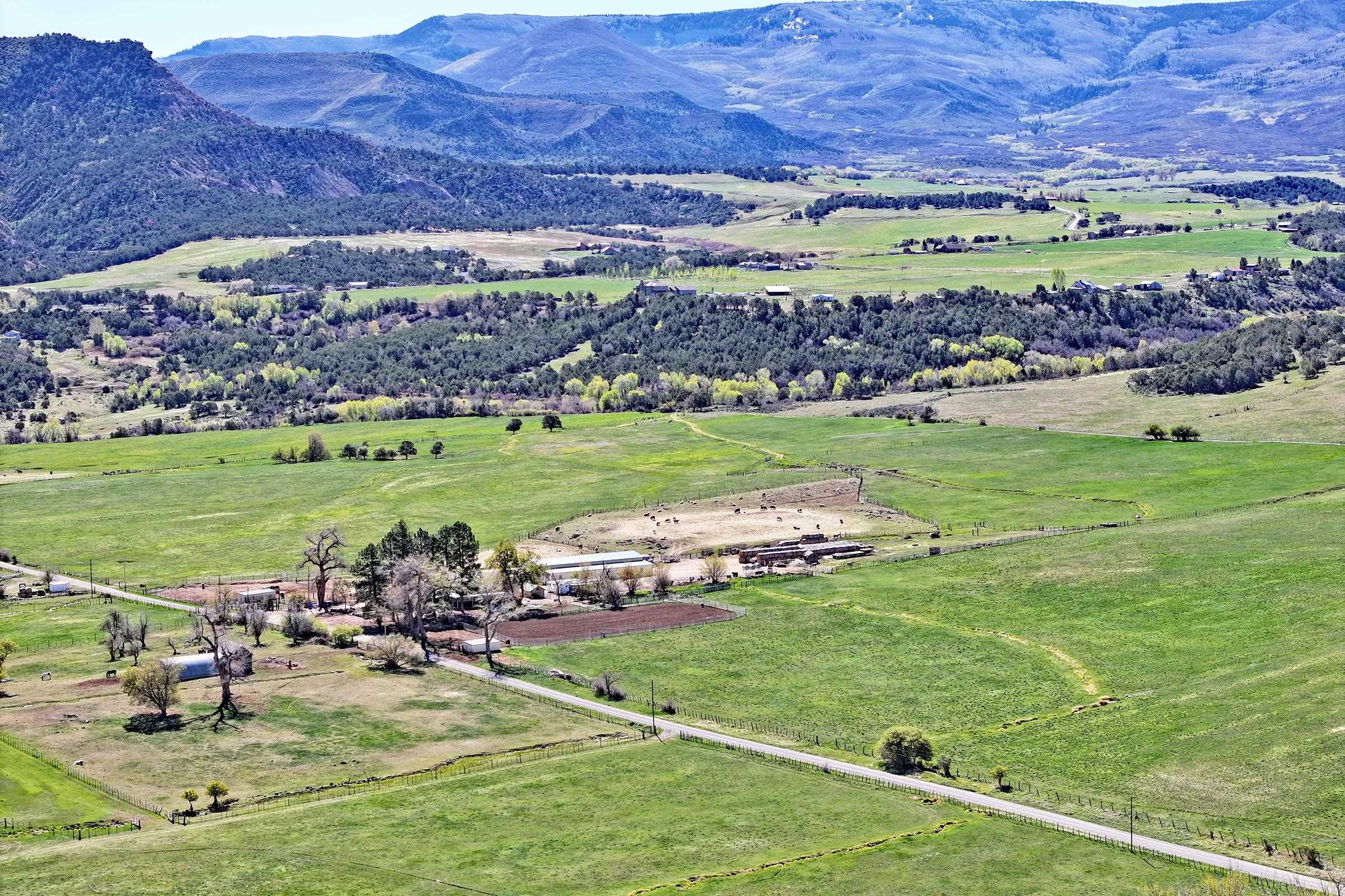 58749 Oe Road Collbran, CO 81624 - Photo 3 of 42 a view of a swimming pool and a yard