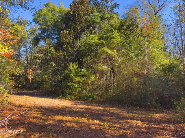 $189,000 | 3760 South S Highway, Wewahitchka, FL 32465