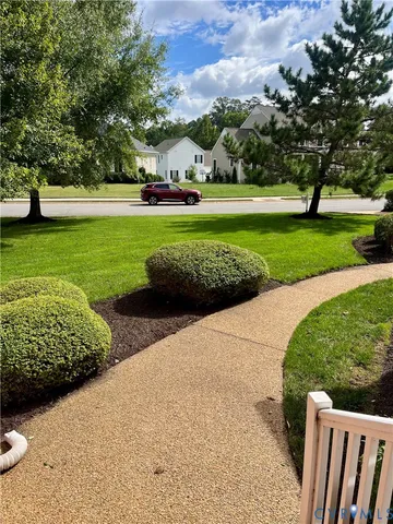 a view of a park with large trees