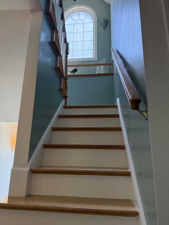 3 Walnut Knolls Canton, MA 02021 - Photo 18 of 38