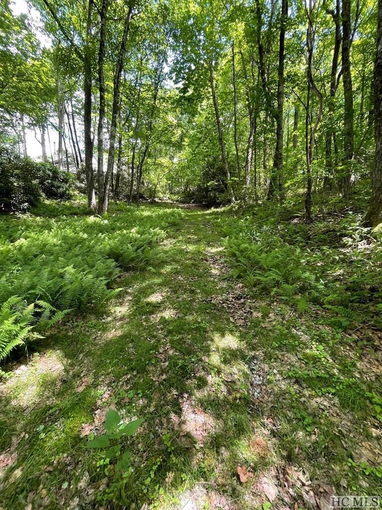 179 Hill Road Highlands, NC 28741 - Photo 7 of 23 Gallery Image 7