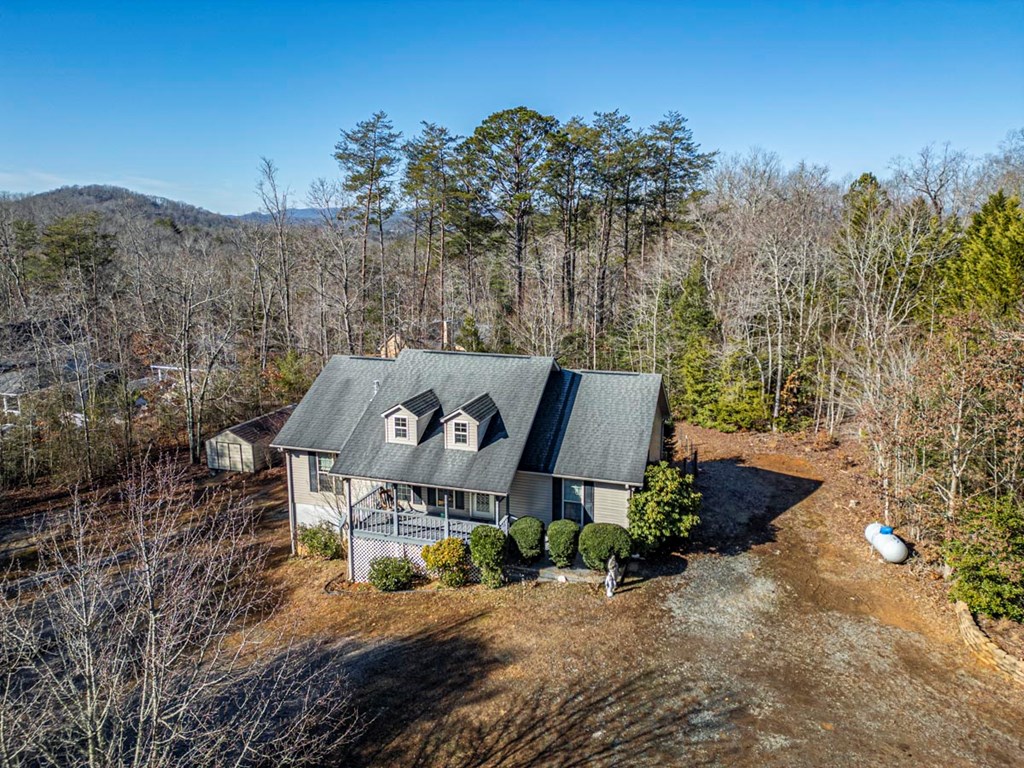 220 Yellowbird Trail Blue Ridge, GA 30513 - Photo 2 of 57