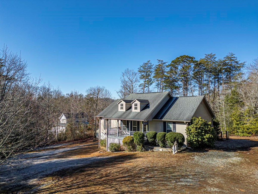 220 Yellowbird Trail Blue Ridge, GA 30513 - Photo 3 of 57