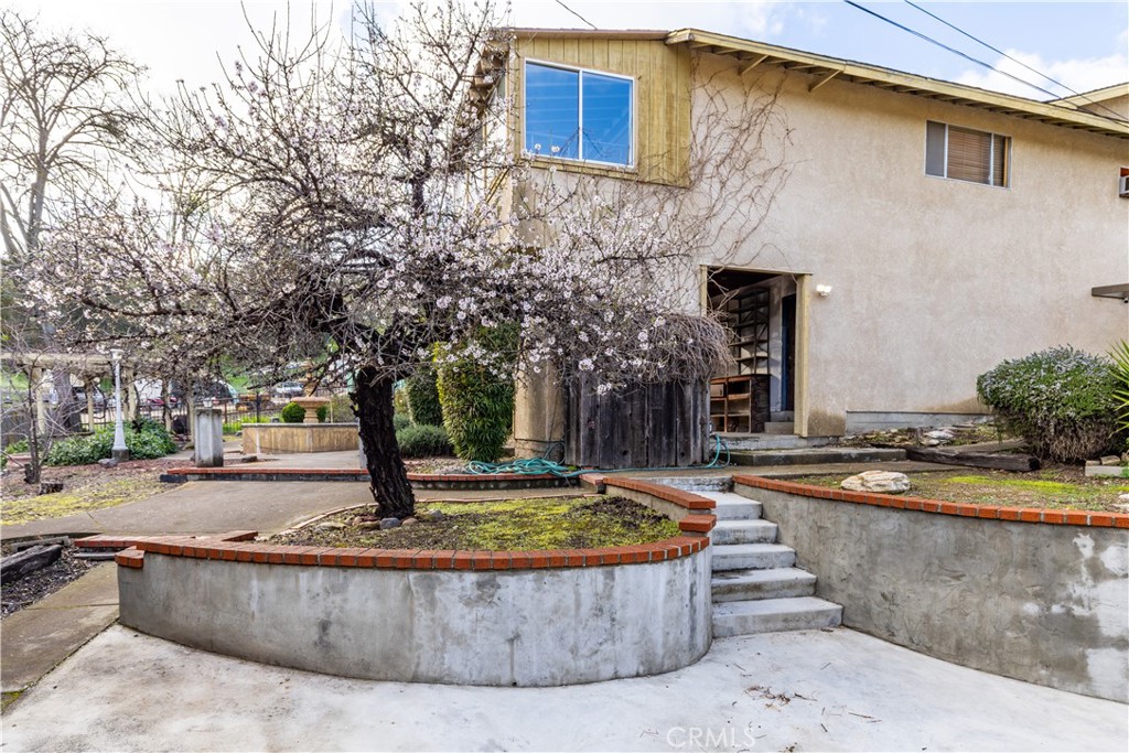 323 Crum Road Templeton, CA 93465 - Photo 43 of 59 Blooming tree in backyard with hardscapes
