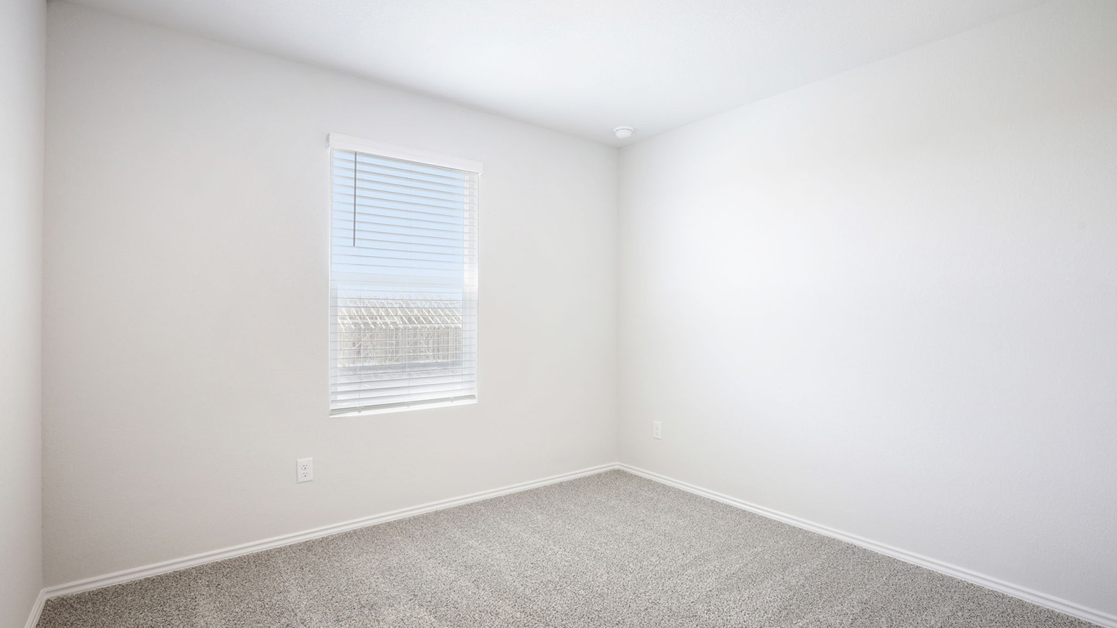 133 Wyatt Way Jarrell, TX 76537 - Photo 22 of 32 Light-filled interior space featuring neutral wall tones, gray carpet, white baseboards, a window with horizontal blinds, and a ceiling-mounted light fixture