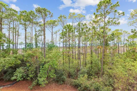 a view of yard with flower plants and wooden fence