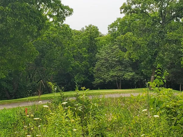 a view of an outdoor space and a yard