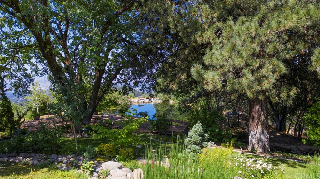 40330 Pine Bench Road Yucaipa, CA 92399 - Photo 7 of 68