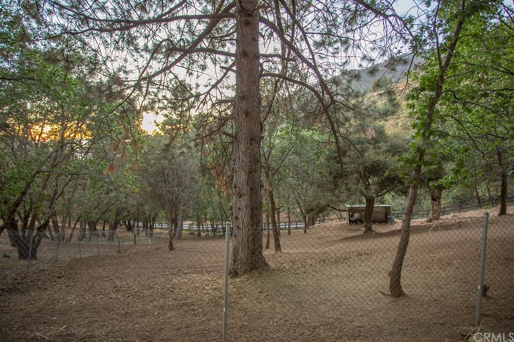 40330 Pine Bench Road Yucaipa, CA 92399 - Photo 62 of 68