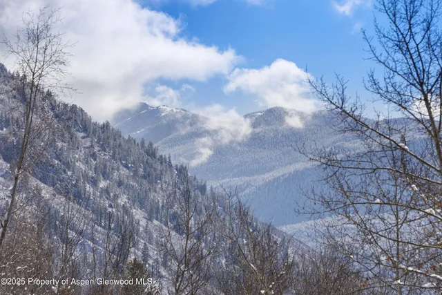 a view of a big yard