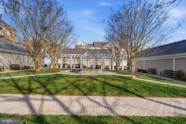 a view of a park with a large trees