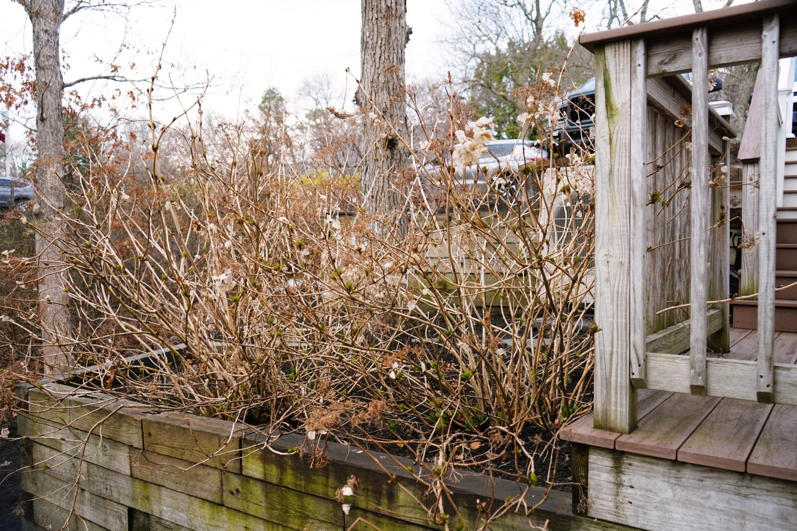 54 Melbourne Road Hyannis, MA 02601 - Photo 52 of 53 36cbbaf3-596d-45a9-b369-aa304b05e69e