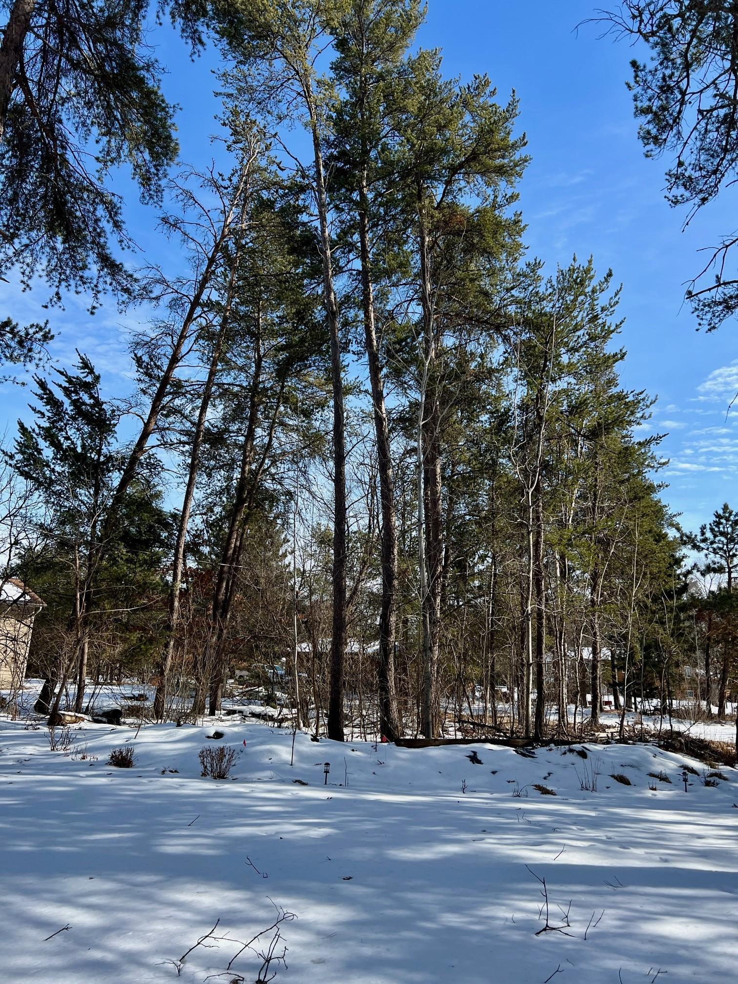 6349 Dahlin Road North Baxter, MN 56425 - Photo 31 of 33