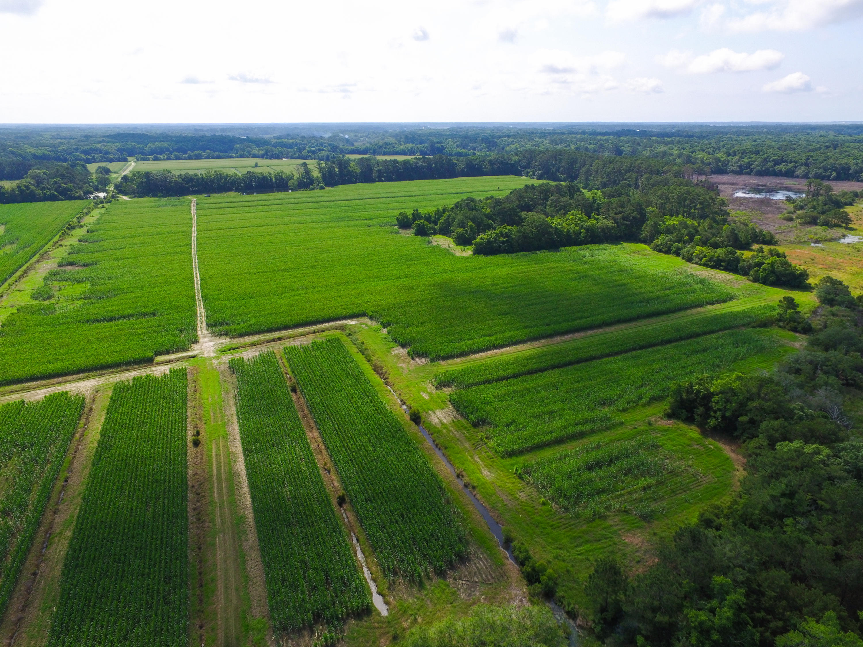 0 Laurel Hill Road Edisto Island, SC 29438 - Photo 1 of 11 DJI_0008