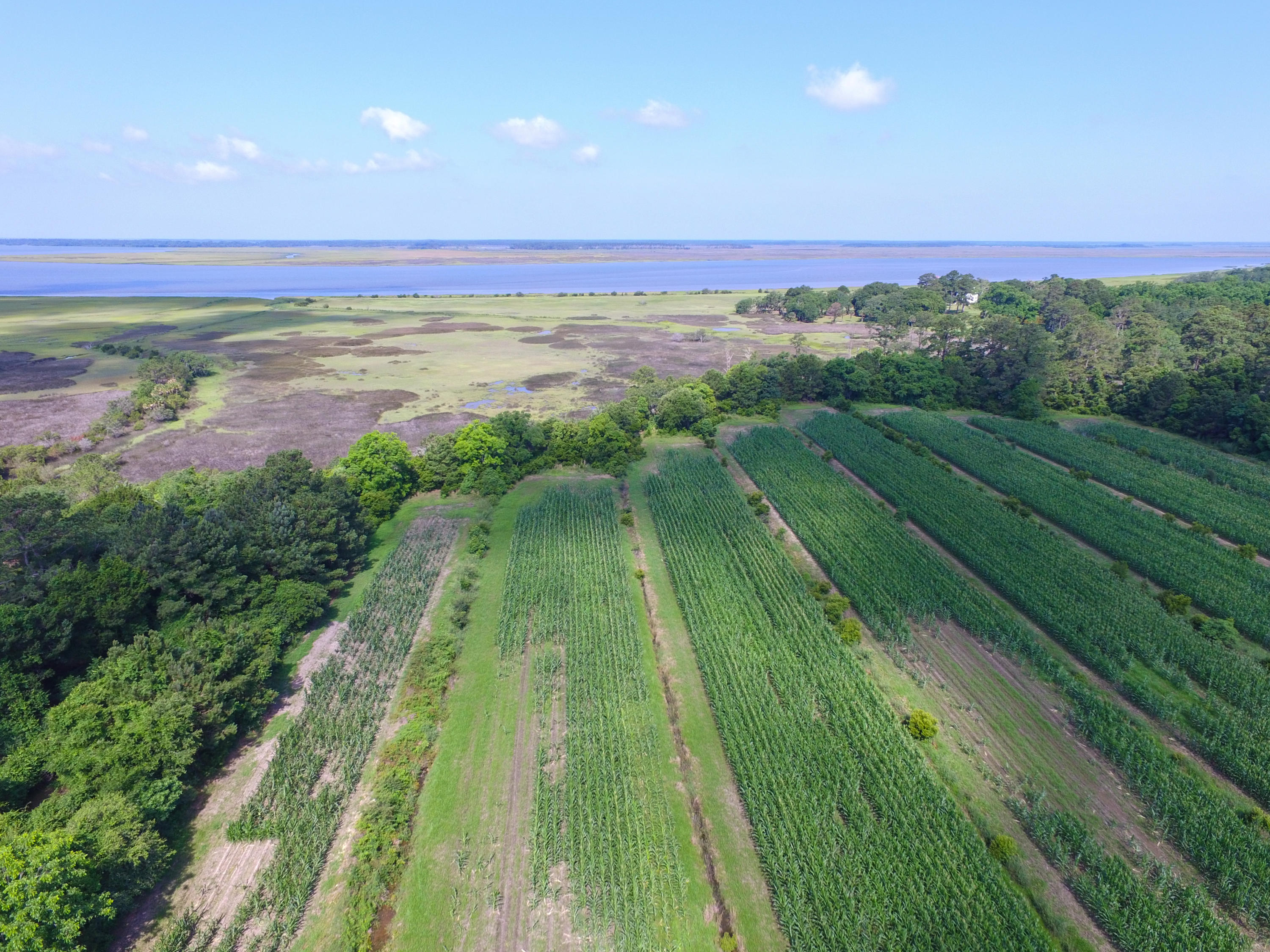 0 Laurel Hill Road Edisto Island, SC 29438 - Photo 2 of 11 DJI_0002