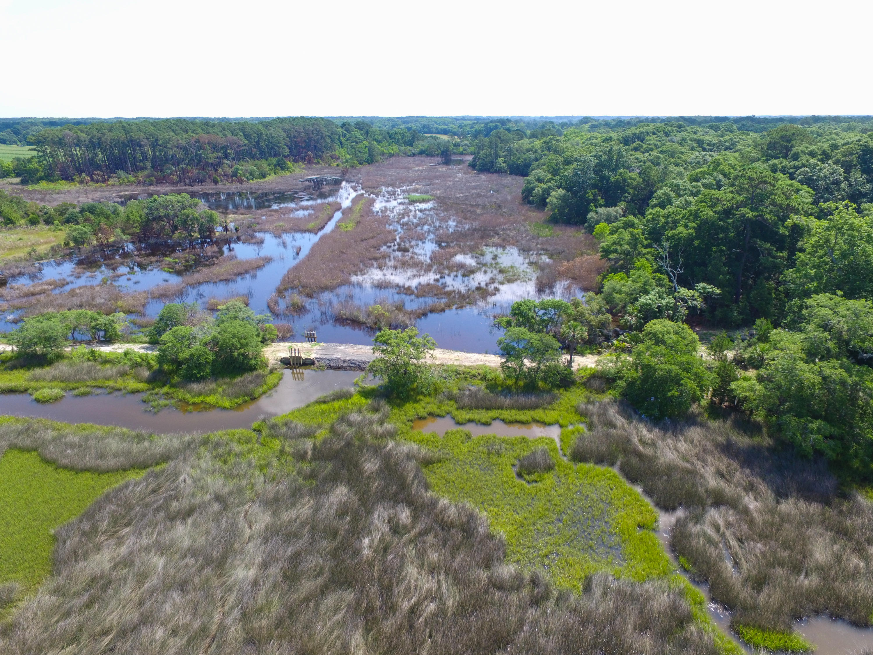 0 Laurel Hill Road Edisto Island, SC 29438 - Photo 11 of 11 DJI_0030