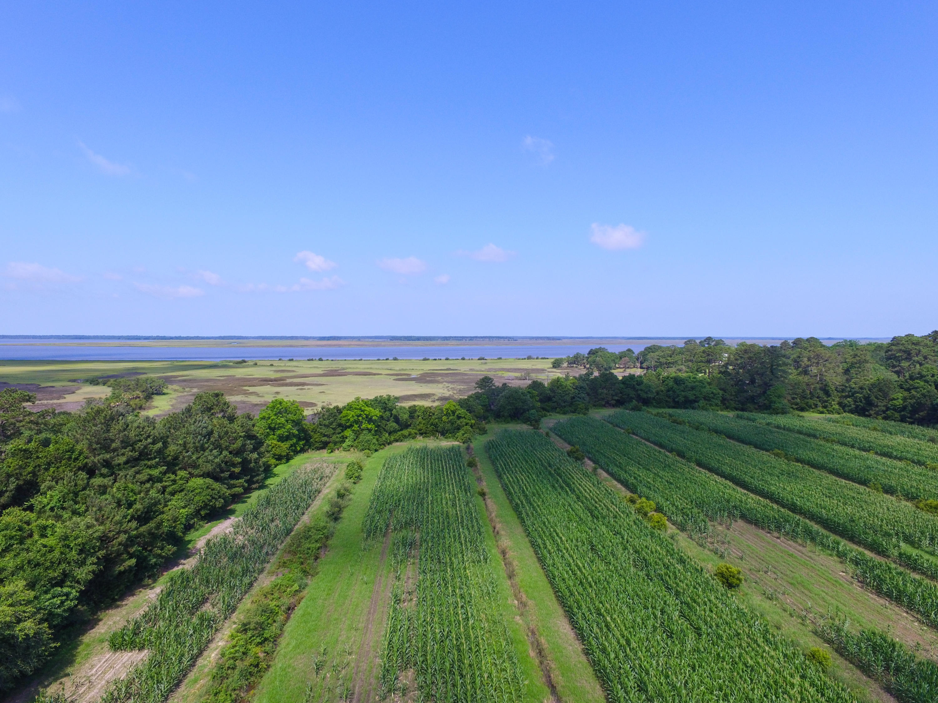 0 Laurel Hill Road Edisto Island, SC 29438 - Photo 3 of 11 DJI_0001