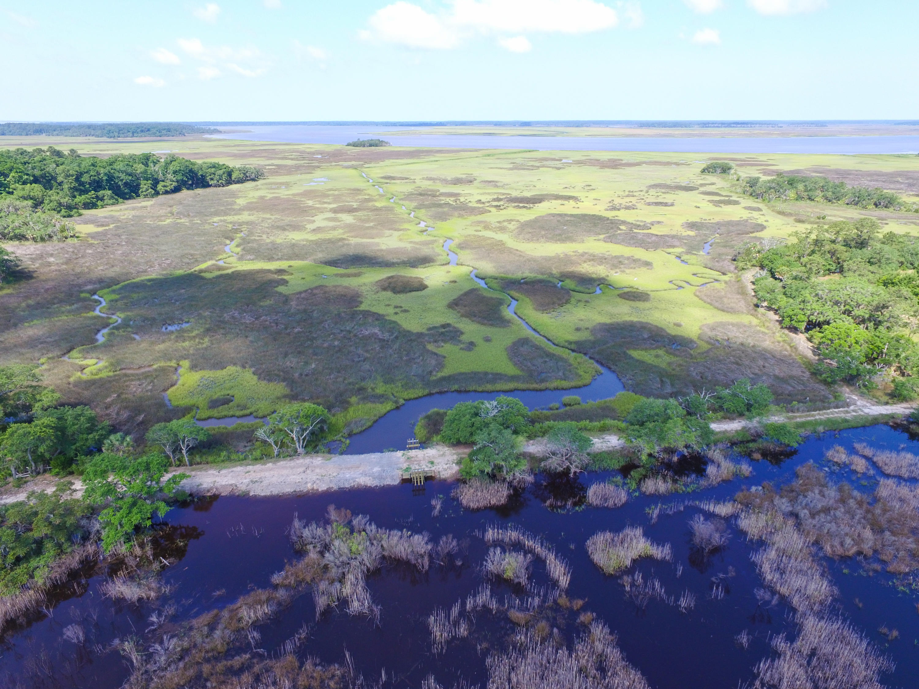 0 Laurel Hill Road Edisto Island, SC 29438 - Photo 4 of 11 DJI_0013