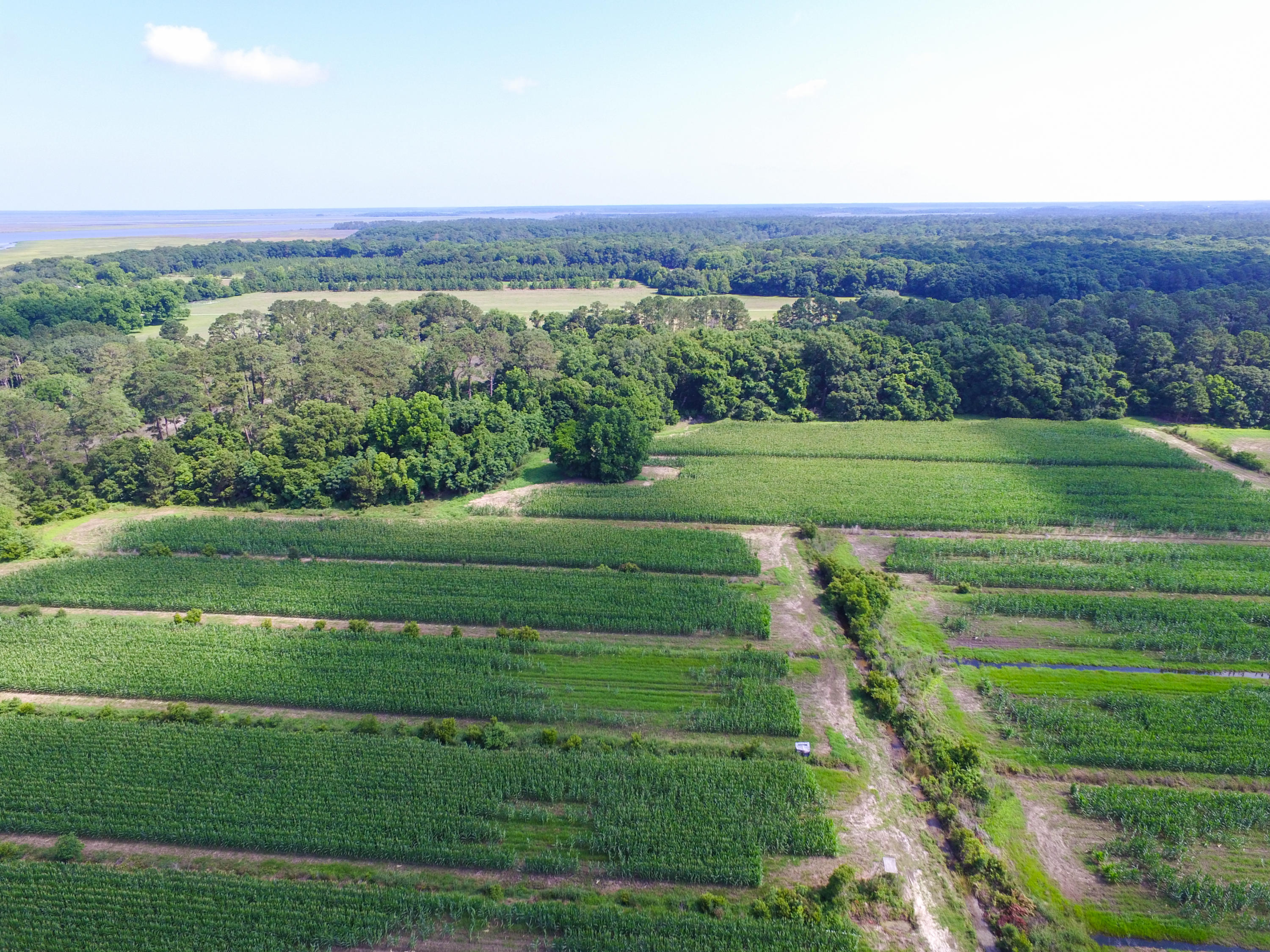 0 Laurel Hill Road Edisto Island, SC 29438 - Photo 5 of 11 DJI_0011