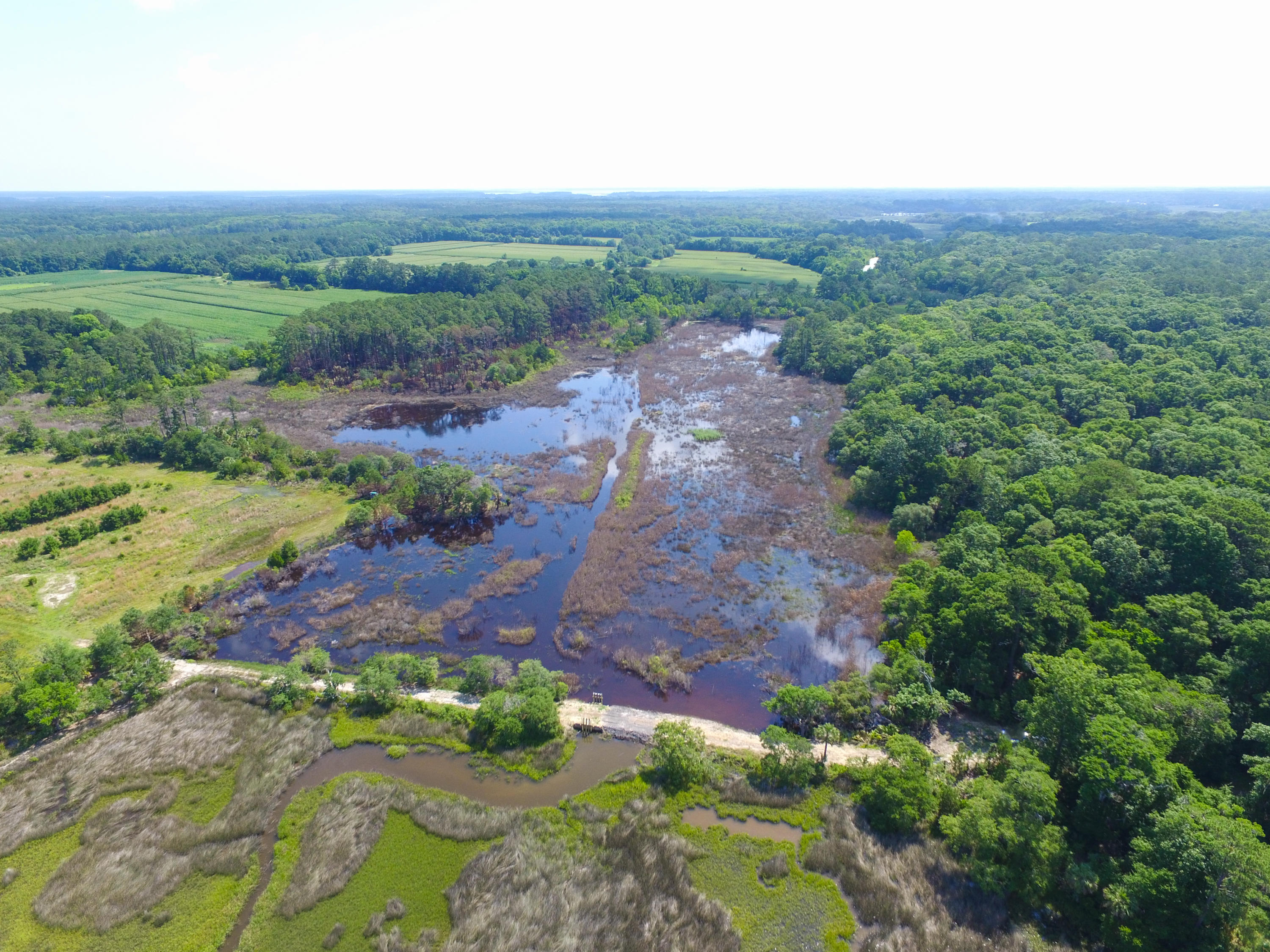 0 Laurel Hill Road Edisto Island, SC 29438 - Photo 6 of 11 DJI_0023