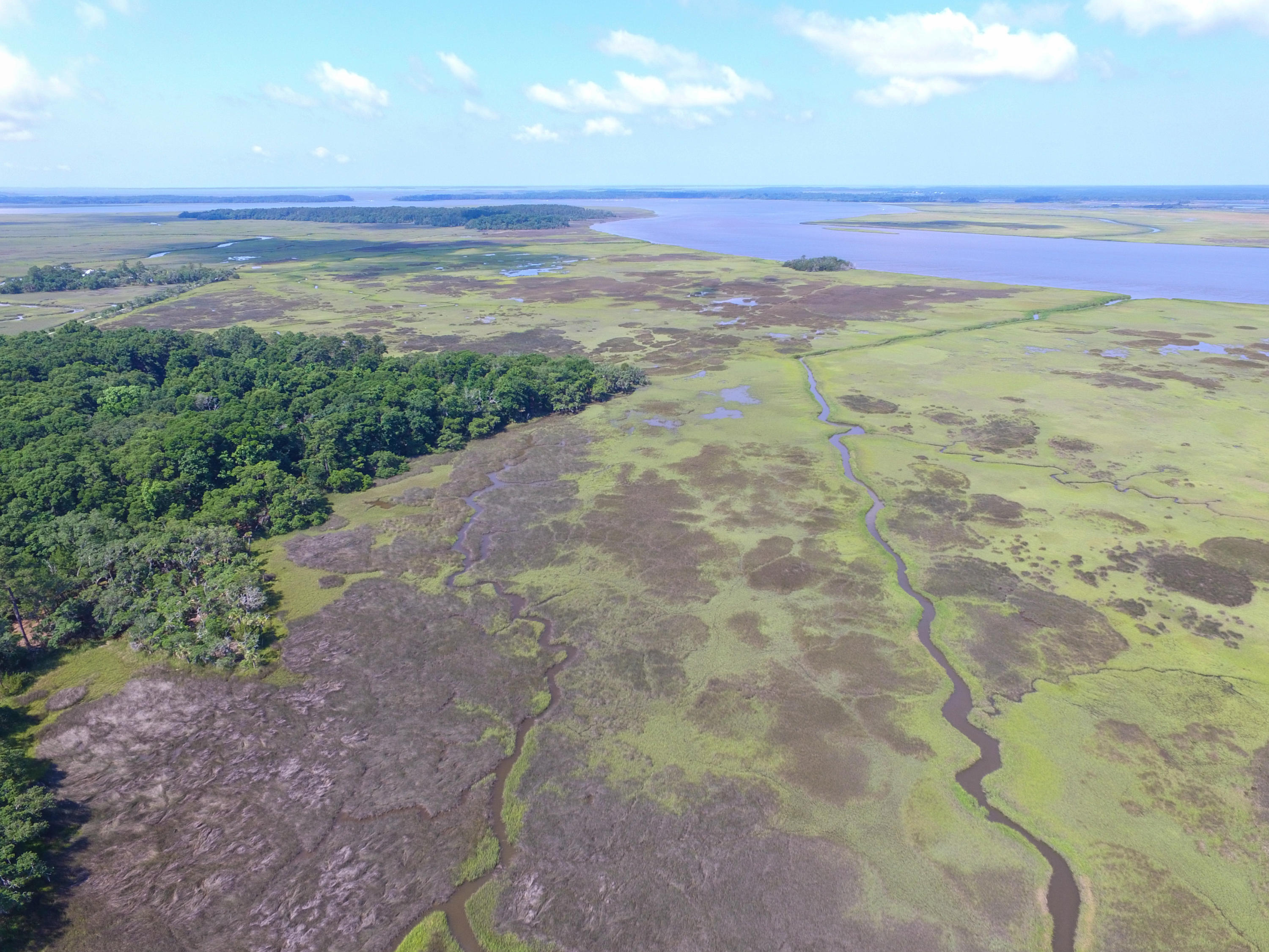 0 Laurel Hill Road Edisto Island, SC 29438 - Photo 7 of 11 DJI_0020