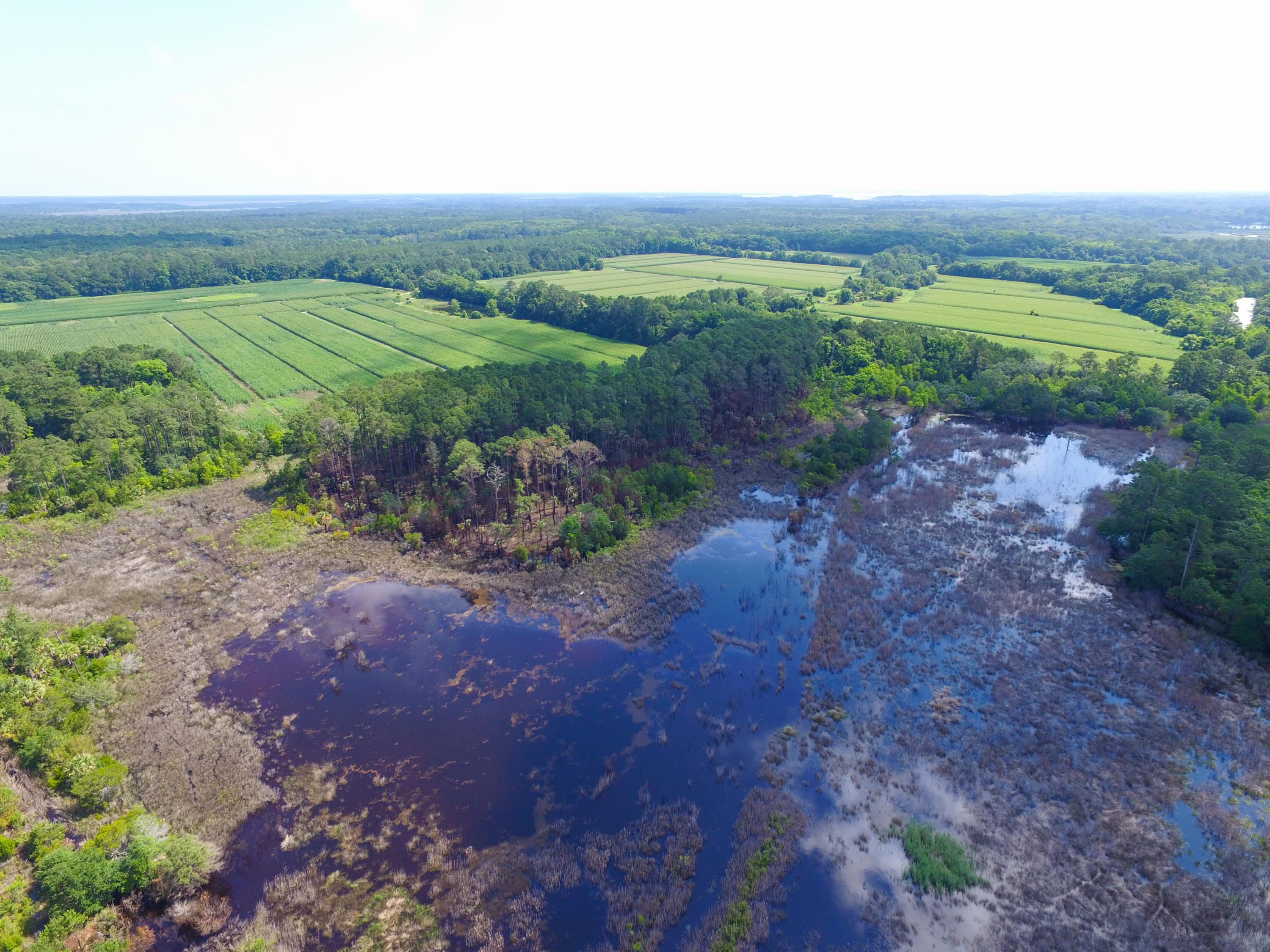 0 Laurel Hill Road Edisto Island, SC 29438 - Photo 8 of 11 DJI_0017