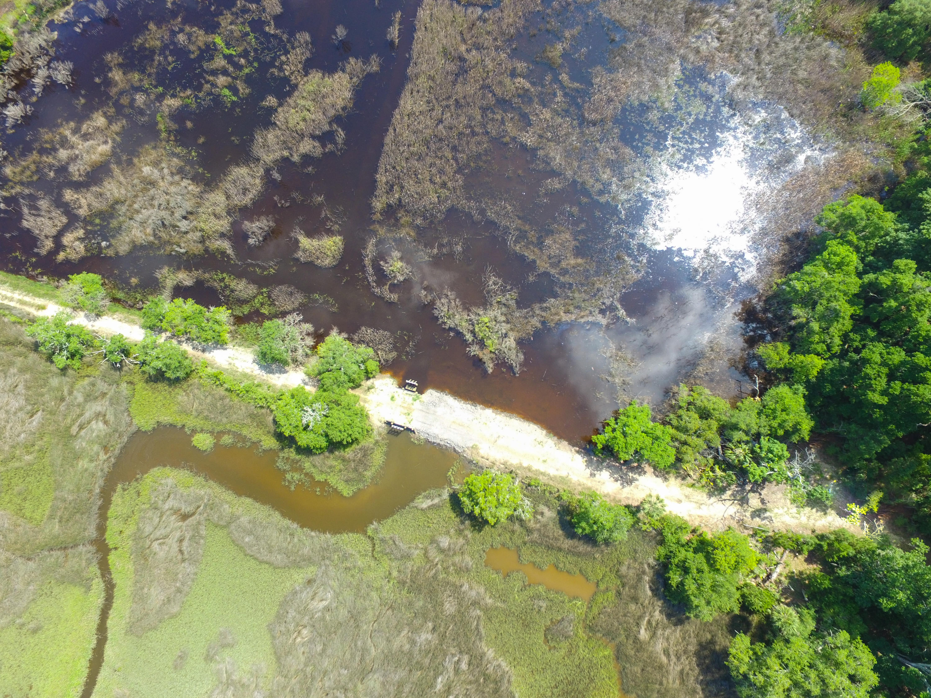 0 Laurel Hill Road Edisto Island, SC 29438 - Photo 9 of 11 DJI_0034