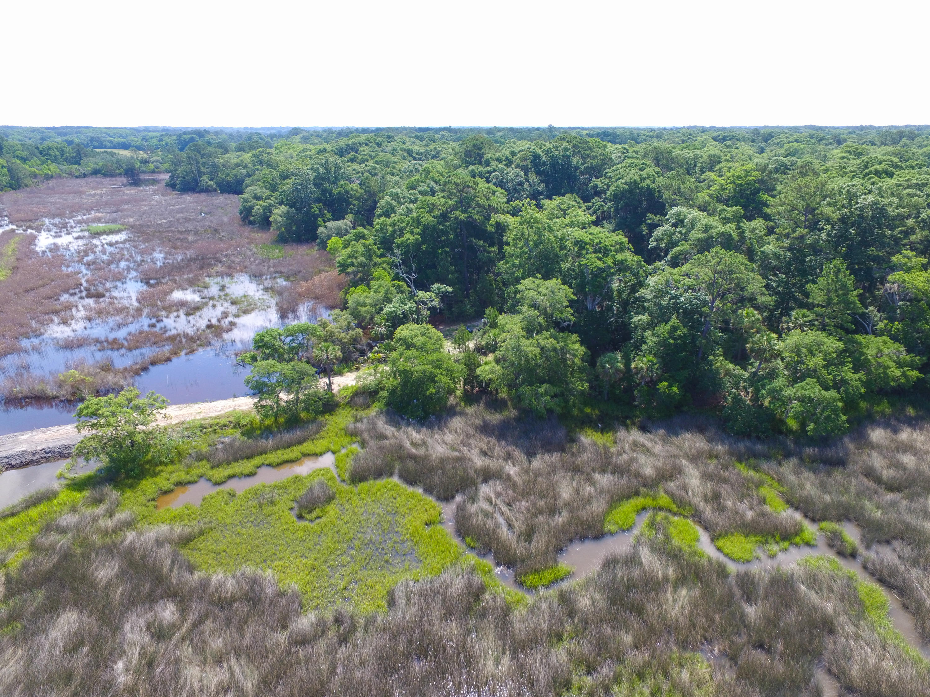 0 Laurel Hill Road Edisto Island, SC 29438 - Photo 10 of 11 DJI_0033