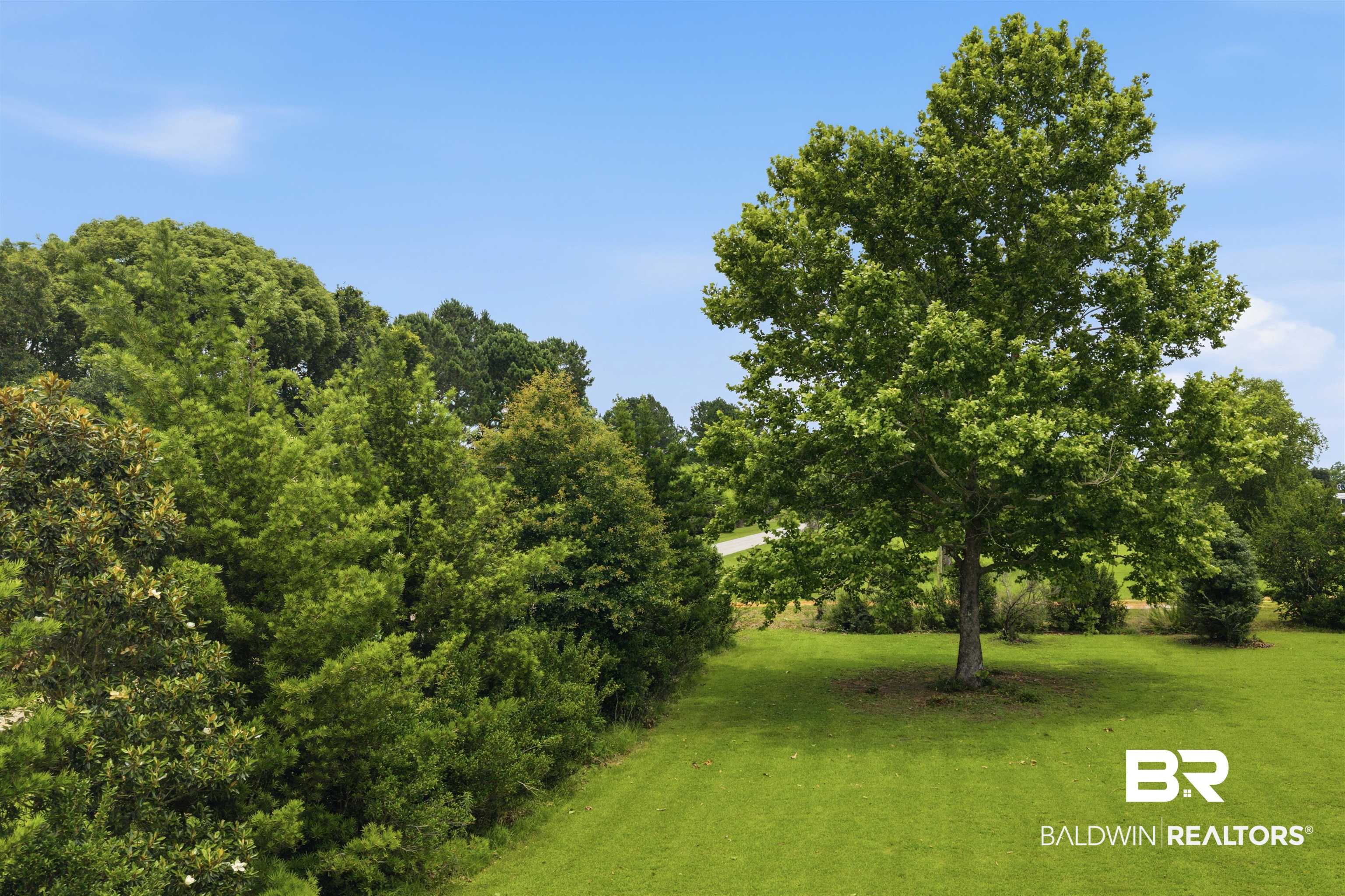 26788 Feely Road Elberta, AL 36530 - Photo 18 of 31 Expansive green lawn with a mature deciduous tree