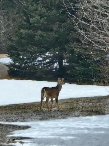 $29,900 | 1508 Oxbow Road, Oxbow, ME 04764