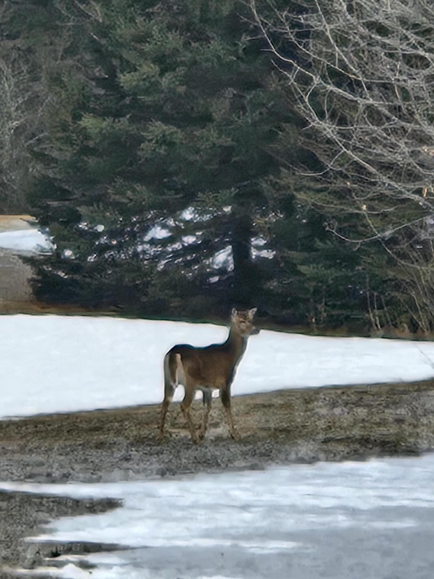 1508 Oxbow Road Oxbow, ME 04764 - Photo 12 of 15 1508 Oxbow Road