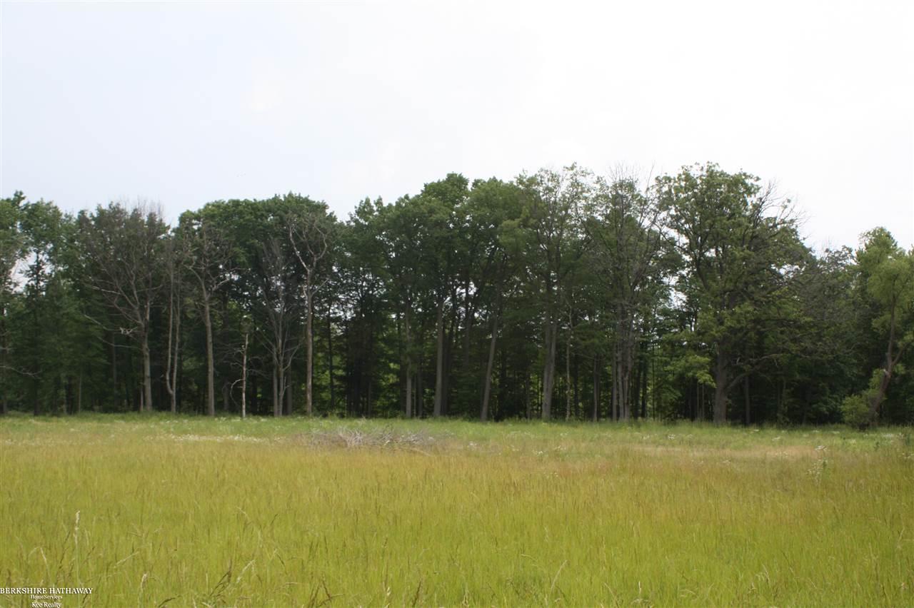 0 36 36 Mile Road Romeo, MI 48065 - Photo 10 of 21