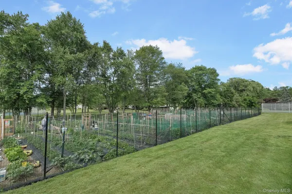 a picture of a park