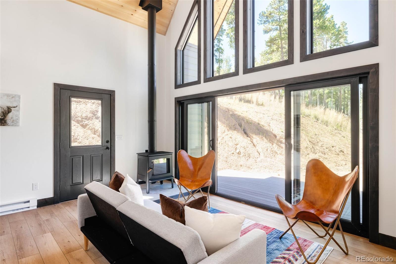 562 Gold Flake Terrace Bailey, CO 80421 - Photo 12 of 32 Gallery Image 12
