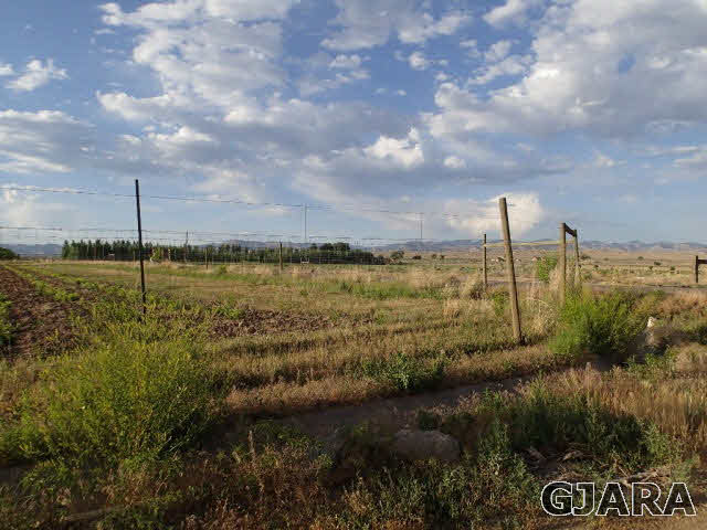 1749 12 Road Loma, CO 81524 - Photo 1 of 9 a view of a lake with a big yard